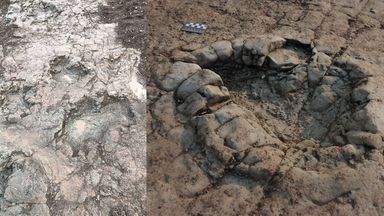 Ślady stóp znaleziono na torze na plaży w Penarth w Południowej Walii, obok hologramu śladu stopy